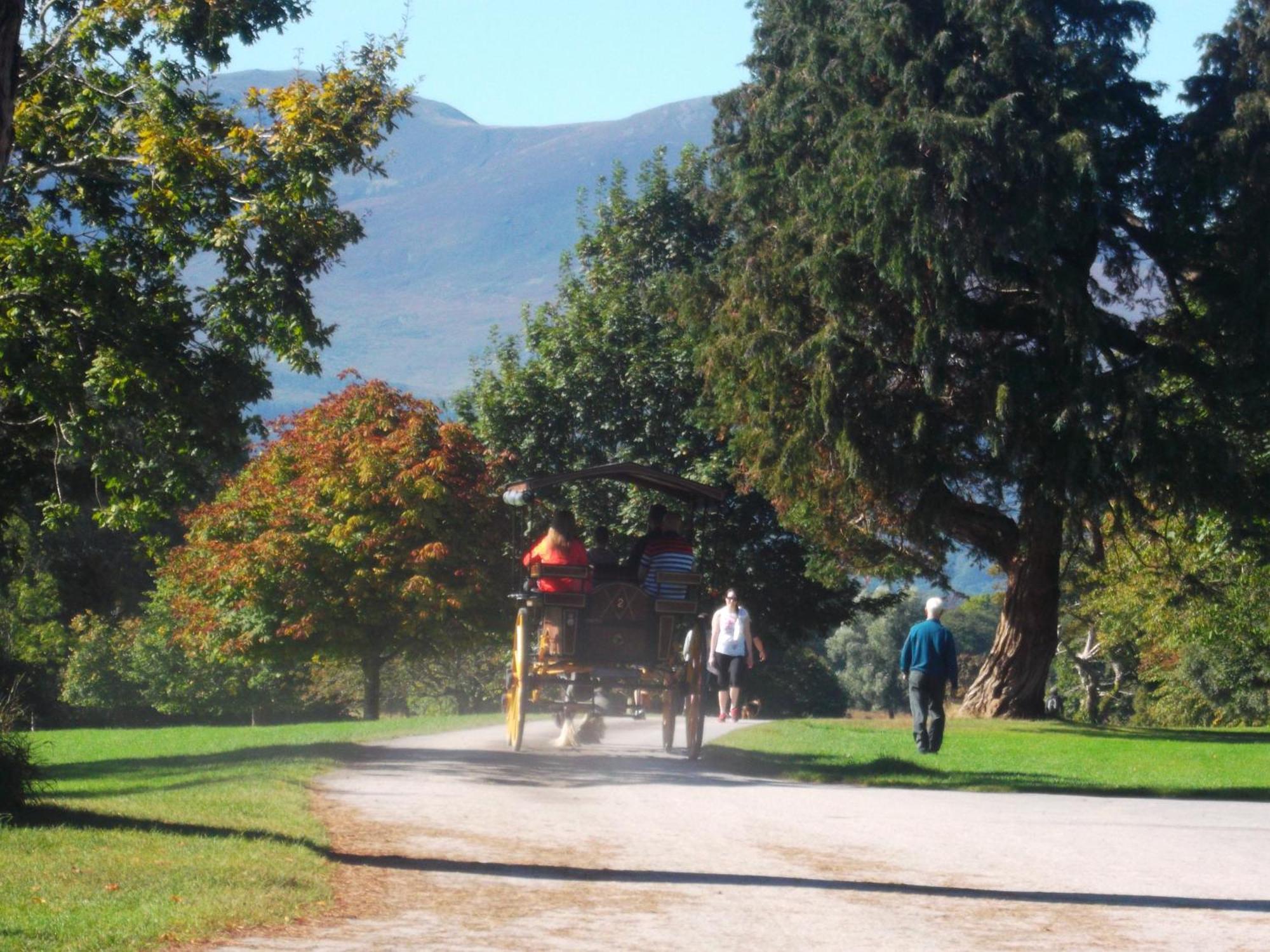 Kerry Holiday Homes At The Killarney Holiday Village Экстерьер фото