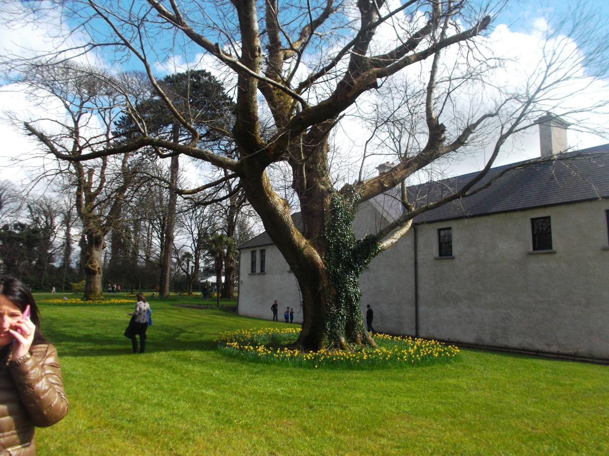 Kerry Holiday Homes At The Killarney Holiday Village Экстерьер фото