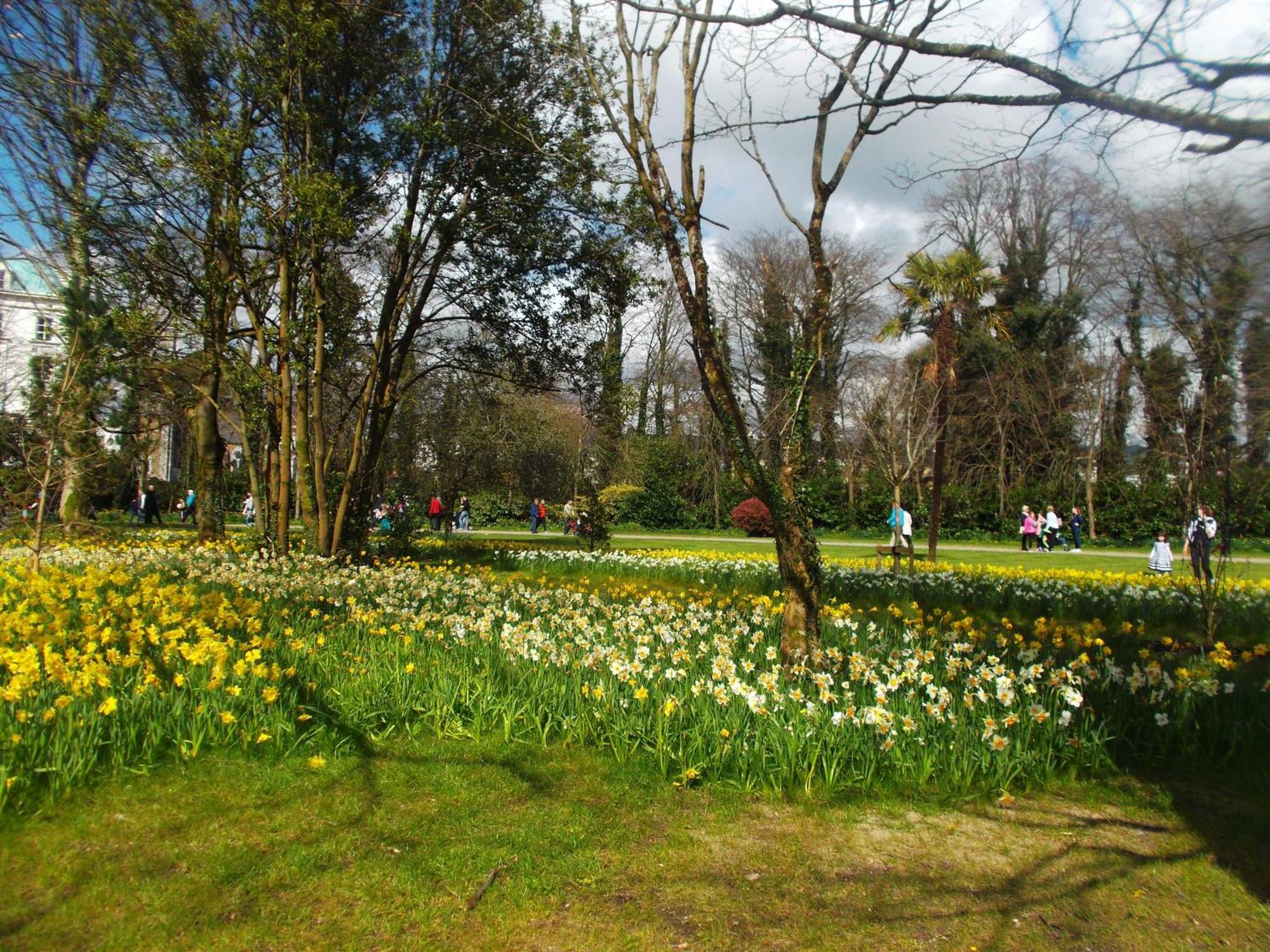 Kerry Holiday Homes At The Killarney Holiday Village Экстерьер фото